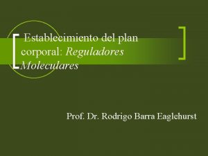 Establecimiento del plan corporal Reguladores Moleculares Prof Dr
