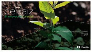 de Raz Forestal Presentacin Comisin Investigadora Cmara de