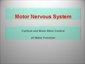 Motor Nervous System Cortical and Brain Stem Control