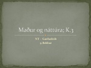 Maur og nttra K 3 NT Garaskli 9