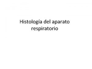 Histologa del aparato respiratorio Aparato Respiratorio Tiene por