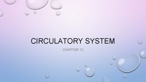 CIRCULATORY SYSTEM CHAPTER 12 CIRCULATORY SYSTEM THE BODYS