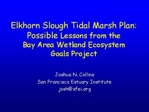 Elkhorn Slough Tidal Marsh Plan Possible Lessons from