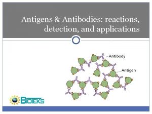Antigens Antibodies reactions detection and applications Introduction Adaptive