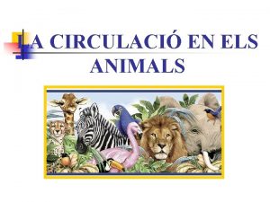 LA CIRCULACI EN ELS ANIMALS TIPUS DE CIRCULACI