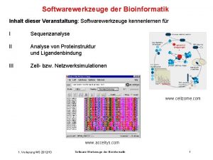 Softwarewerkzeuge der Bioinformatik Inhalt dieser Veranstaltung Softwarewerkzeuge kennenlernen