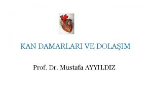 KAN DAMARLARI VE DOLAIM Prof Dr Mustafa AYYILDIZ