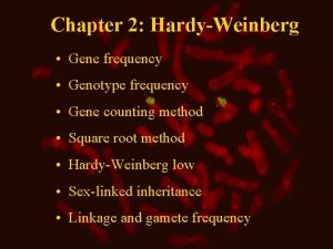 Chapter 2 HardyWeinberg Gene frequency Genotype frequency Gene