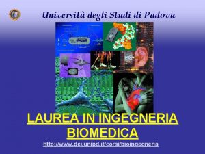 Universit degli Studi di Padova LAUREA IN INGEGNERIA