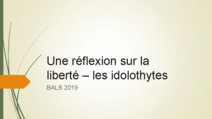 Une rflexion sur la libert les idolothytes BALS