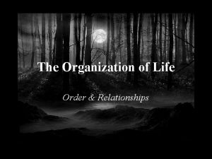 The Organization of Life Order Relationships The Existence