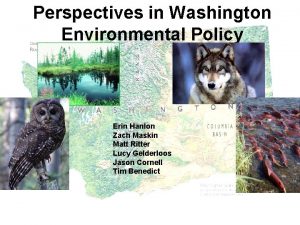 Perspectives in Washington Environmental Policy Erin Hanlon Zach