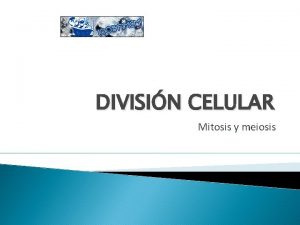 DIVISIN CELULAR Mitosis y meiosis Divisin celular La