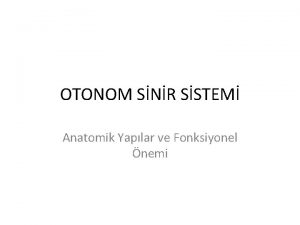 OTONOM SNR SSTEM Anatomik Yaplar ve Fonksiyonel nemi