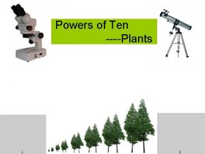 Powers of Ten Plants Earth Scale 108 meters