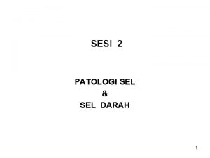 SESI 2 PATOLOGI SEL SEL DARAH 1 DESKRIPSI