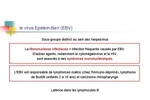 le virus EpsteinBarr EBV Sousgroupe distinct au sein