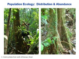 Population Ecology Distribution Abundance K Harms photos from