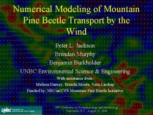 Numerical Modeling of Mountain Pine Beetle Transport by