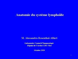 Anatomie du systme lymphode M Alessandra RosenthalAllieri Laboratoire