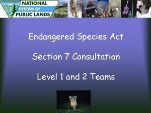 Endangered Species Act Section 7 Consultation Level 1