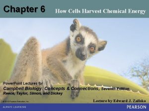 Chapter 6 How Cells Harvest Chemical Energy Power