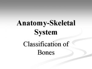 AnatomySkeletal System Classification of Bones AnatomySkeletal System Bell