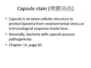 Capsule stain Capsule is an extracellular structure to