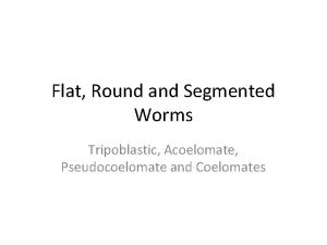 Flat Round and Segmented Worms Tripoblastic Acoelomate Pseudocoelomate