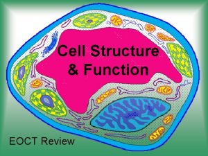 Cell Structure Function EOCT Review Cells Smallest living