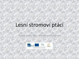 Lesn stromov ptci Vypracovala Mgr Miroslava Komrov EU