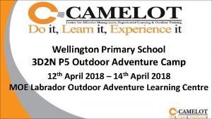 Wellington Primary School 3 D 2 N P