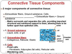 Connective Tissue Components 3 major components of connective