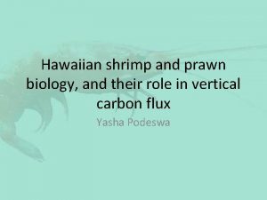 Hawaiian shrimp and prawn biology and their role