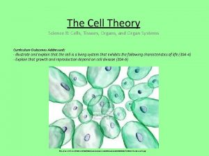 The Cell Theory Science 8 Cells Tissues Organs