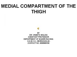 MEDIAL COMPARTMENT OF THE THIGH BY DR VINEETA