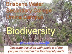 Brisbane Water Secondary College Umina Campus Biodiversity Decorate