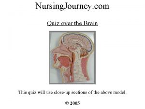 Nursing Journey com Quiz over the Brain This