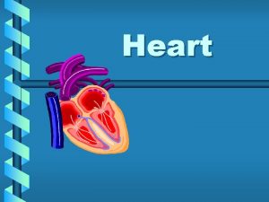 Heart The Structure and composition of mammalian blood