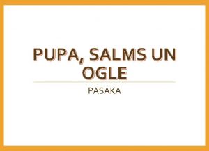 PUPA SALMS UN OGLE PASAKA REIZ PUPA SALMS