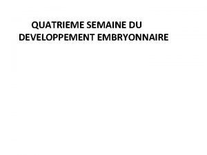 QUATRIEME SEMAINE DU DEVELOPPEMENT EMBRYONNAIRE 1 LA NEURULATION