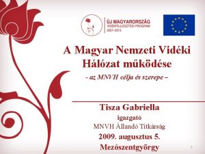A Magyar Nemzeti Vidki Hlzat mkdse az MNVH