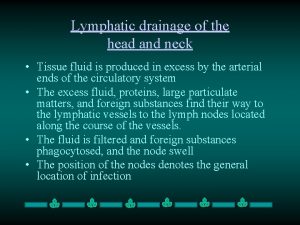 Lymphatic drainage of the head and neck Tissue