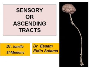 SENSORY OR ASCENDING TRACTS Dr Jamila ElMedany Dr