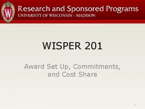 WISPER 201 Award Set Up Commitments and Cost