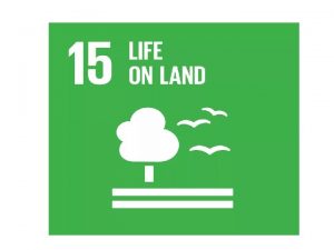 THE POINTS OF GOAL 15 v Sustainably manage