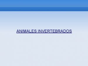 ANIMALES INVERTEBRADOS ESPONJA Son animales invertebrados sin proteccin