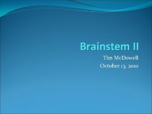 Brainstem II Tim Mc Dowell October 13 2010