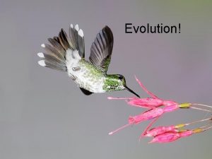 Evolution Diskutera Tack vare evolutionen springer harar snabbare