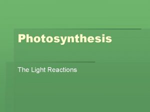 Photosynthesis The Light Reactions Formula Chlorophyll 6 CO